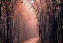 LG杯决赛：柯洁先拔头筹2025-01-22.