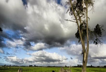 每体：巴萨想出售克里斯滕森，若无合适报价可能与他续约1年.