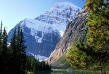 切尔西女足前锋科尔官宣自己与女友梅维斯已怀孕.